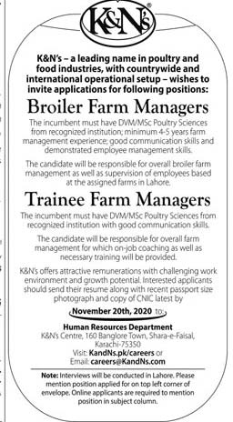 K&Ns Jobs 2020