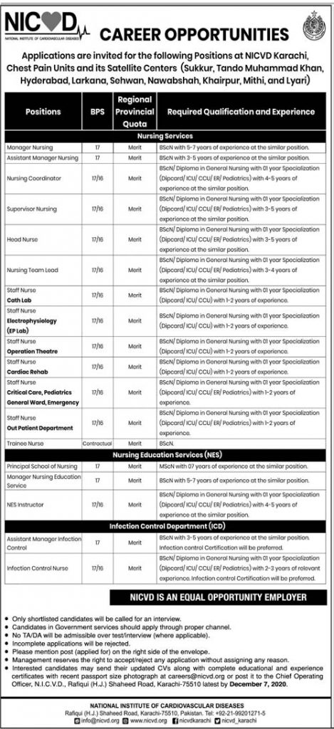 NICVD Jobs November 2020