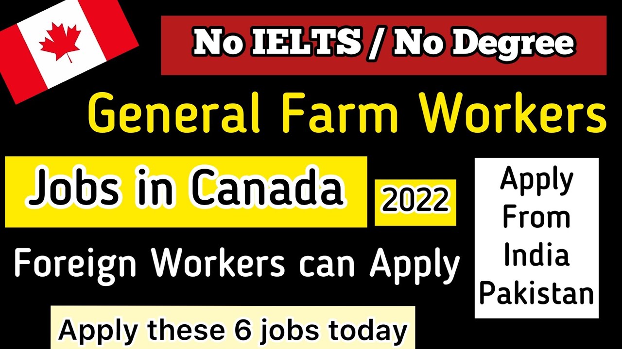 jobs in Canada Click Here