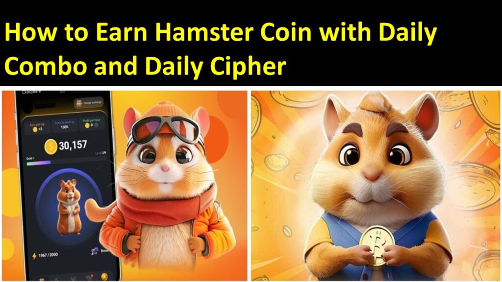 How to Earn Hamster Coin with Daily Combo and Daily Cipher