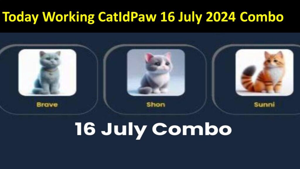 Don’t Miss Today Working CatIdPaw 16 July 2024 Combo